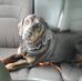 Doug Mckinnon - Facebook