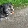 dougiemckinnon - @dougiemckinnon - TikTok