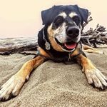 Doug McMaster - @doug_mcmaster - Instagram