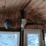 Douglas McMichael - Facebook