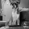 Doug Mearns - @doug.mearns - TikTok
