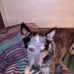 Doug Meyer - Facebook