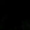 dougmicheldog - @dougmichel7 - TikTok
