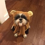 Doug Mick - @doug_mick - Instagram