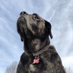 Doug Mickinak - @dougmickinak - Instagram