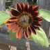 Doug Midkiff - Facebook