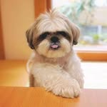 Doug Milner - @milner.doug - Instagram