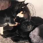Doug_milo_x - @doug_milo_x - Instagram