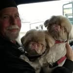 Doug Minor - @harleydoug55 - Instagram