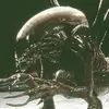 dougmitchell452 - @dougmitchell452 - TikTok