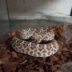 doug mobley - @mobley.doug - Instagram