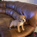 Doug Moen - @dougmoen34 - Instagram