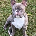 Doug Monahan - @big_bronco_booty - Instagram