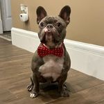 Doug Monahan - @baddog.gd - Instagram