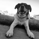 Doug Monette - Facebook