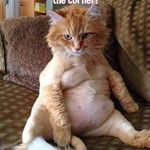 Doug Moneymaker - @big_moneymaker82 - Instagram