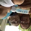Doug an Tammy monk Monk - @doug.an.tammy.mon - TikTok