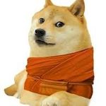 monk doug - @monk_doug - Instagram