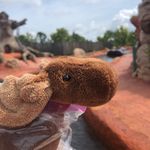 @doug_the_moose_explores - Instagram