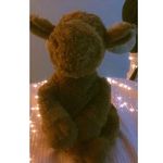 douglas the moose 😏 - @douglas.moose - Instagram