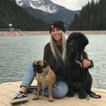 @dougmoosegimli - Instagram