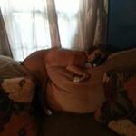 douglas morehead - @douglasmorehead - Instagram