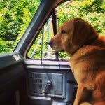 Doug Morell - @dooglass024 - Instagram
