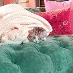 Doug Morton - @victor1866hug - Instagram