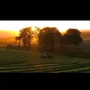 Dougie Morton - @johndeer6830 - TikTok