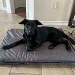 @dougmost74 - Instagram