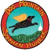 Dog Mountain - @stephenhuneck - TikTok