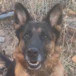 Doug Mulkey - @dougmulkey457 - Instagram