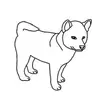 eric - @dogmullet - TikTok