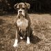 Doug Mullin - Facebook