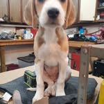 Doug Mullin - @dmullin1964 - Instagram