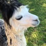 Doug Muncher - @doug_muncher - Instagram