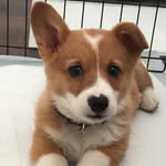 Doug Muncher - @dougmuncher - Instagram