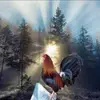 dougmuncy395 - @dougmuncy395 - TikTok