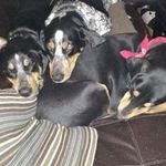 Doug Nash - @nash7448 - Instagram
