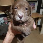 doug nash - @guodn - Instagram