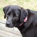 Doug Nash - Facebook