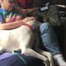 Doug Nash - Facebook