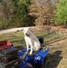 Doug Naumann - Facebook