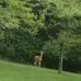 Doug Naumann - Facebook
