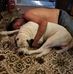 Doug Nicholson - Facebook