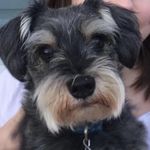 Doug Nicholson - @dnicholson223 - Instagram