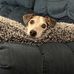 Doug North - Facebook