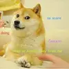 Doug_nothing - @doug_nothing - TikTok
