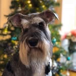 Doug Utting - @goonerdude_326 - Instagram
