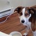 Doug Oldfield - Facebook